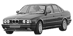 BMW E34 P1BD8 Fault Code